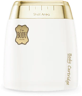 Dualsonic Professional Body Cartridge